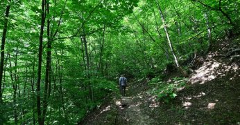 35’ten fazla ormanlık alana girmek yasaklandı