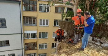 Toprak ve kaya düşmesine karşı çelik ağ sistemi kuruldu