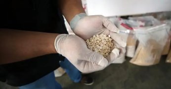 KOKO, SARI BOMBA, ÇARLİ, ÜLKEYİ YIKMAK İÇİN, GENÇLERİ ZEHİRLİYORLAR!