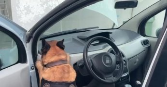 Narkotik köpeği45 kilo 750 gram eroin buldu