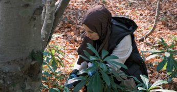 Kuzuyayla’da mantarların gizemli dünyası keşfedildi