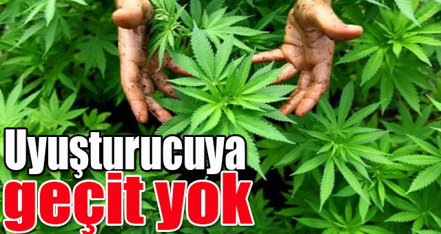 Uyuşturucuya geçit yok