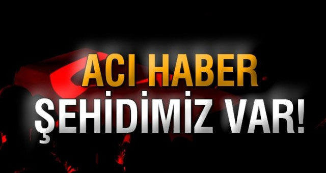 Mardin'de hain tuzak