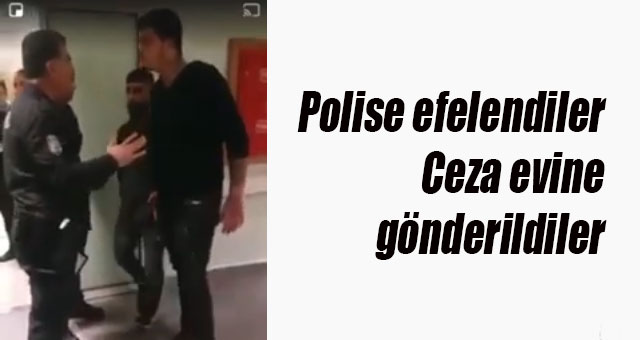 Polise efelendiler