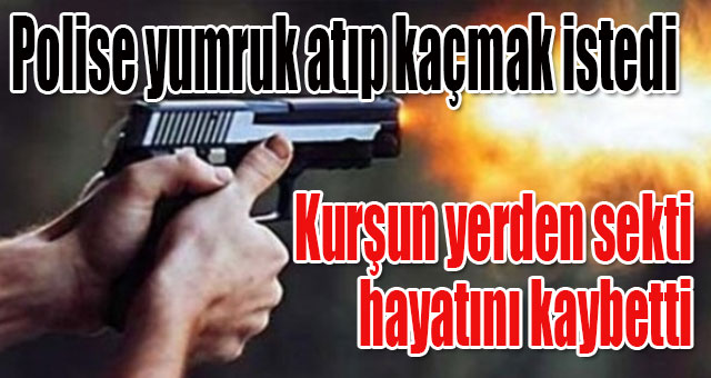 Polise yumruk atıp kaçmak istedi