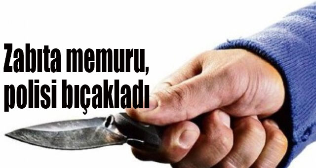 Zabıta memuru, polisi bıçakladı