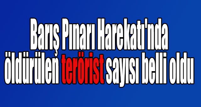 Barış Pınarı Harekatı'nda öldürülen terörist sayısı belli oldu