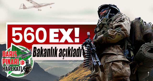 Barış Pınarı operasyonu