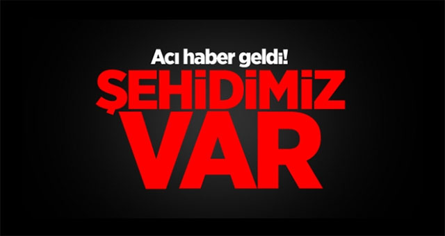 Şehidimiz var