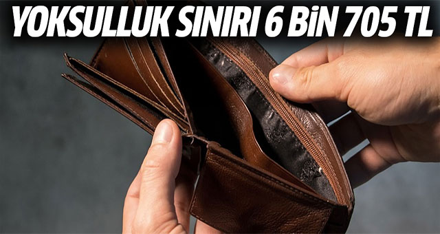 Türk İş alık ve yoksulluk sınırı rakamlarını açıkladı