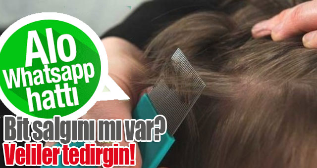 Bit salgını mı var?