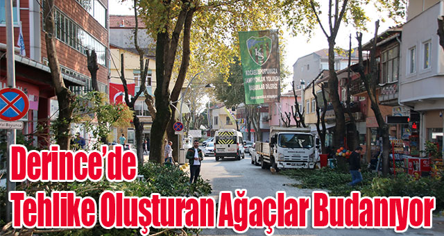 Derince’de Tehlike Oluşturan Ağaçlar Budanıyor