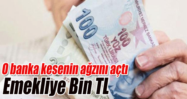 Emekliye Bin TL