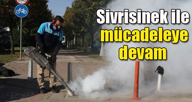 Sivrisinek ile mücadeleye  devam 