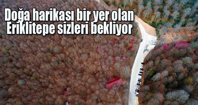 Doğa harikası bir yer olan Eriklitepe sizleri bekliyor