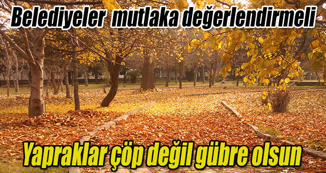 Sonbaharı iyi değerlendirmek gerek