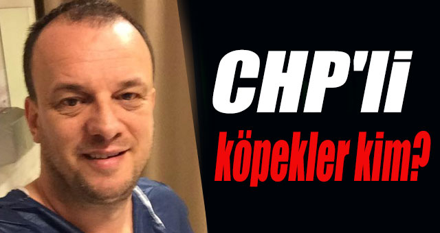 CHP'li köpekler kim?