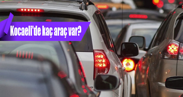 Kocaeli'de kaç araç var?