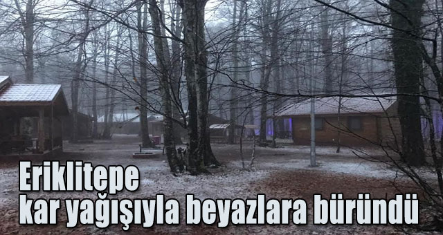 Eriklitepe kar yağışıyla beyazlara büründü 