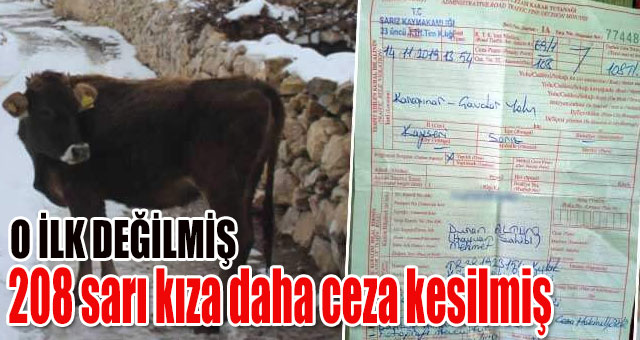 208 sarı kıza daha ceza kesilmiş