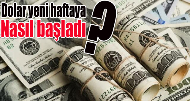 Dolar yeni haftaya nasıl başladı?