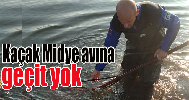Kaçak Midye avına geçit yok