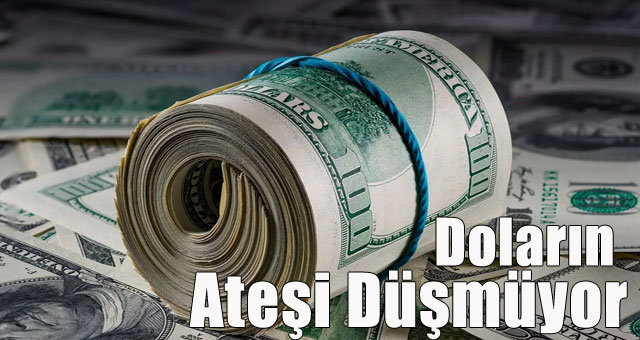 Dolar zirveyi gördü!