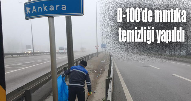 D-100’de mıntıka temizliği yapıldı
