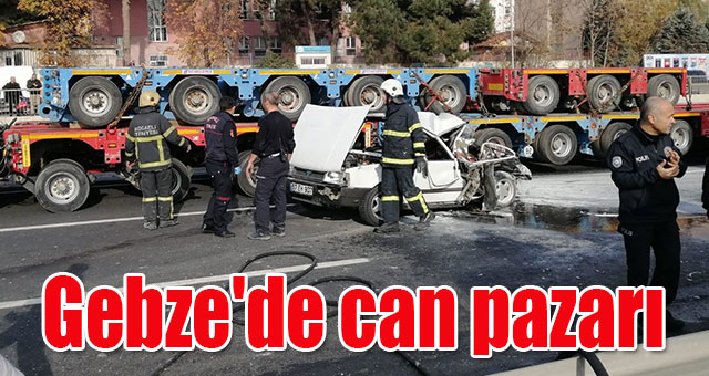 Gebze'de can pazarı