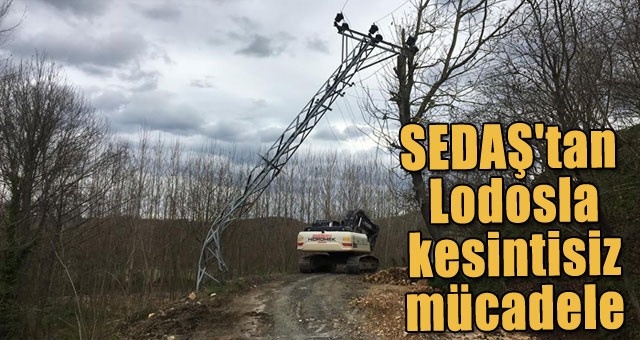 SEDAŞ'tan Lodosla  kesintisiz mücadele