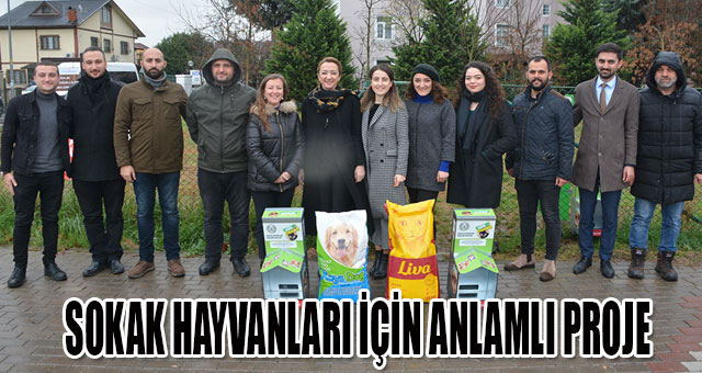 SOKAK HAYVANLARI İÇİN ANLAMLI PROJE