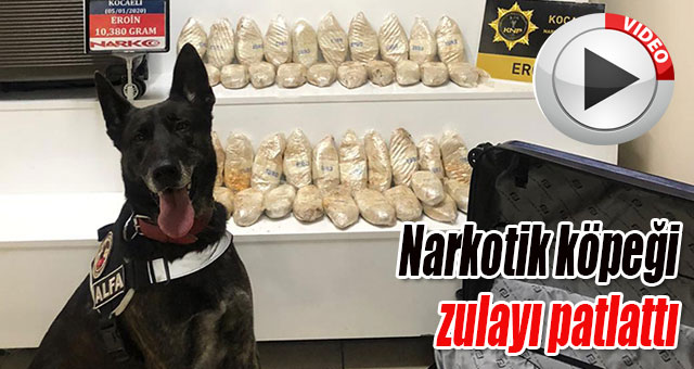 Narkotik köpeği zulayı patlattı