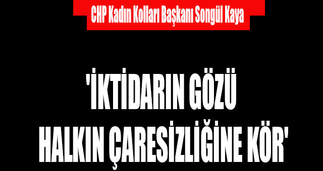 'İKTİDARIN GÖZÜ HALKIN ÇARESİZLİĞİNE KÖR'