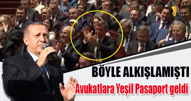 Avukatlara yeşil pasaport resmi gazetede