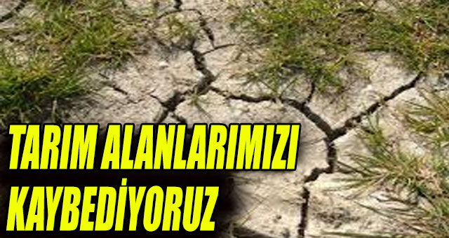 TARIM ALANLARIMIZI KAYBEDİYORUZ