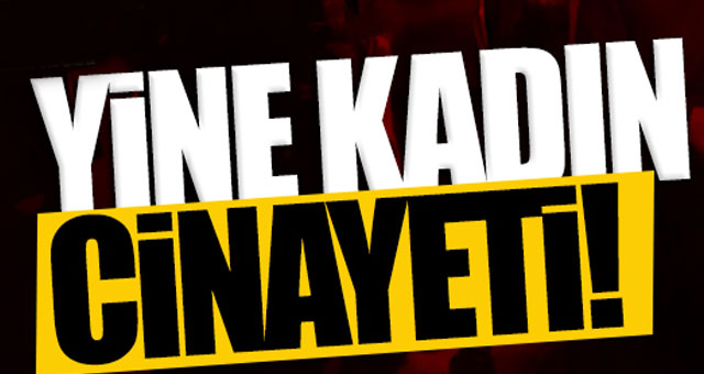 Birlikte yaşadığı kadını öldürdü