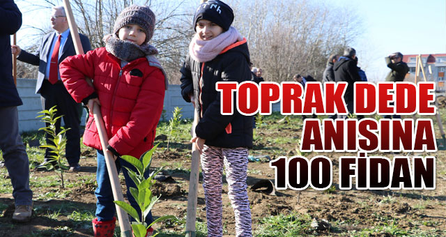 TOPRAK DEDE ANISINA 100 FİDAN
