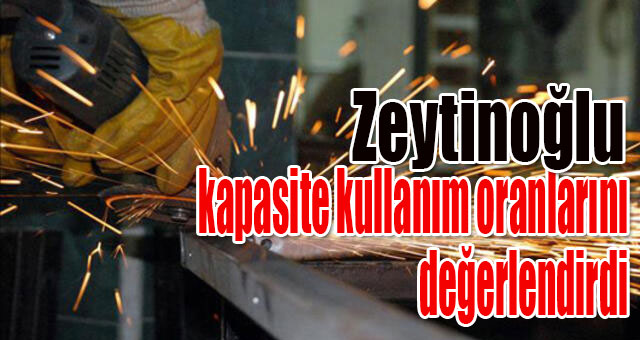 Zeytinoğlu kapasite kullanım oranlarını değerlendirdi