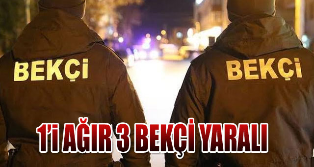 Bekçilere saldırdı