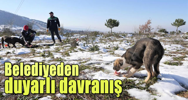 Belediyeden duyarlı davranış