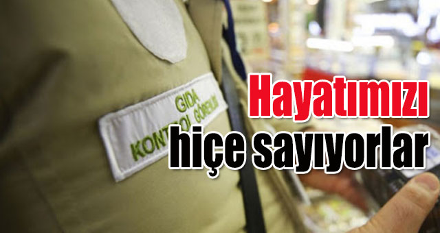 A'dan Z'ye bizim hayatımızı hiçe saymışlar