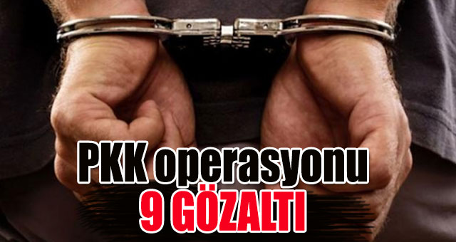 PKK operasyonu