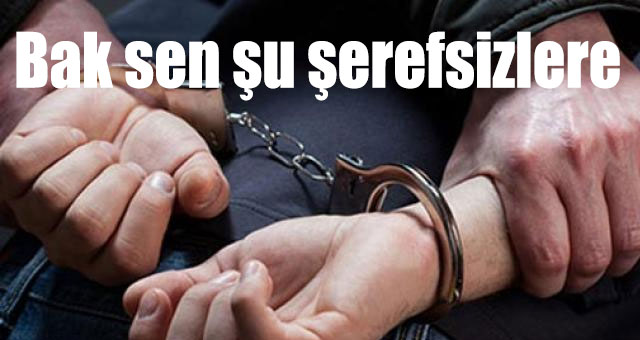 Bak sen şu şerefsizlere