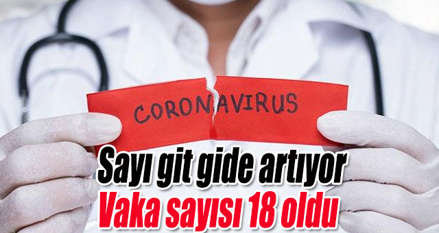 Sayı git gide artıyor