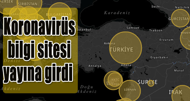 Cumhurbaşkanlığı'nın koronavirüs bilgi sitesi yayına girdi 