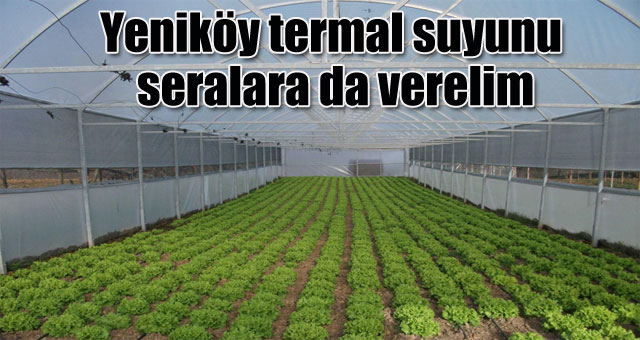 Yeniköy termal suyunu seralara da verelim