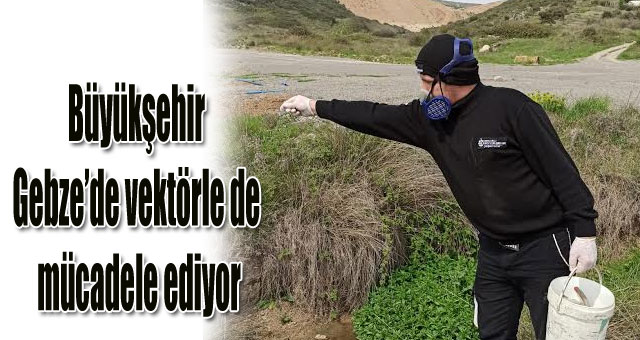 Büyükşehir Gebze’de vektörle de mücadele ediyor