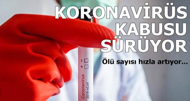 Koronavirüs can almaya devam ediyor