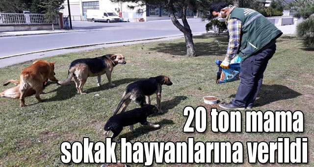 20 ton mama sokak hayvanlarına verildi
