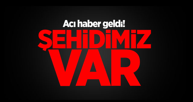 Siirt'te mayınlı tuzak